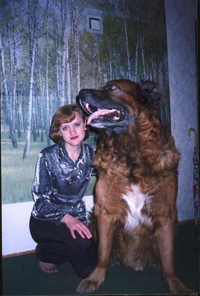 The hugest dog I've ever seen